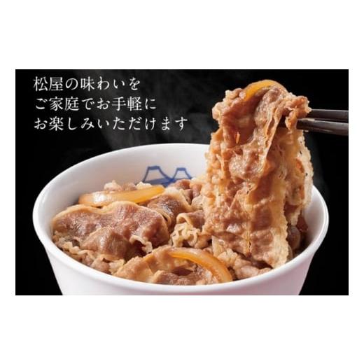 ふるさと納税 埼玉県 嵐山町 松屋 カレー 牛めし 10個 セット 冷凍 牛丼 カレー　