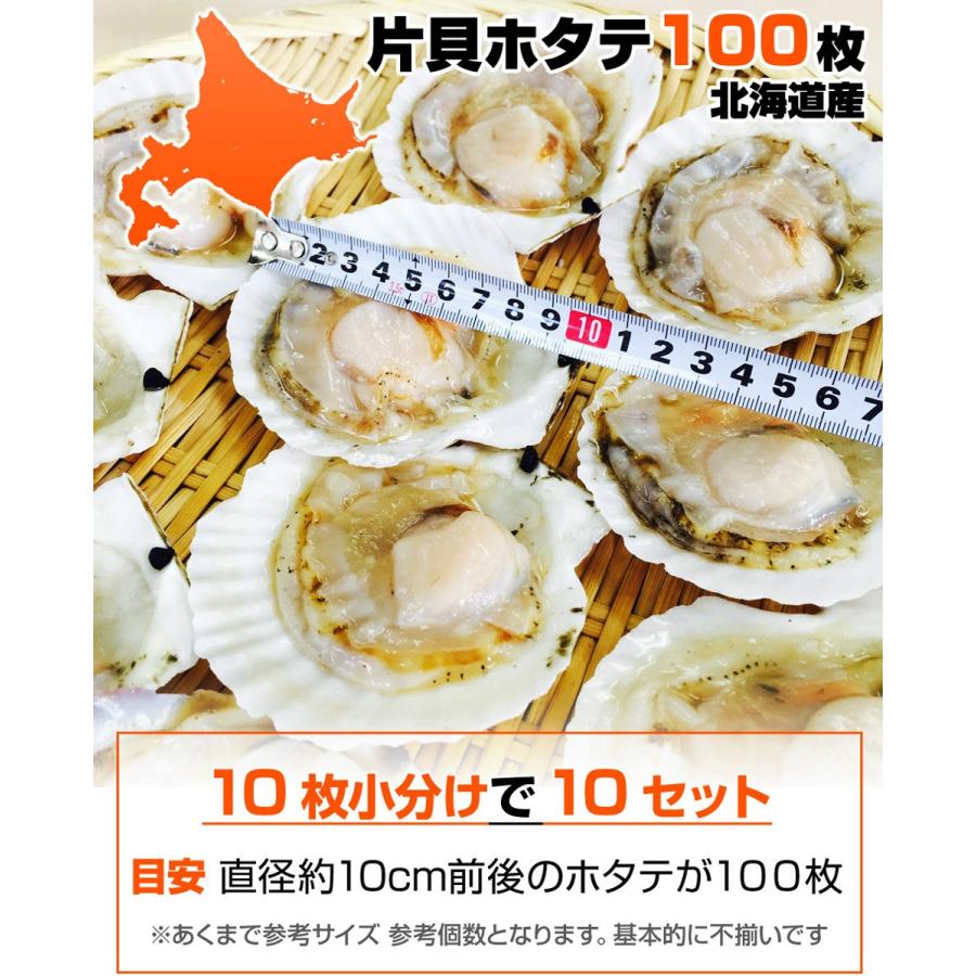 ホタテ 殻付き 100枚 北海道 北海道産 ほたて 帆立 片貝 片貝ホタテ ホタテ貝 ほたて貝 帆立貝 業務用 正月 行楽 屋台 お祭り イベント