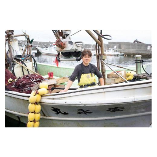 ふるさと納税 鹿児島県 屋久島町 飛魚開き塩干 7尾