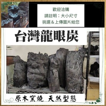 👍🍀台灣龍眼木炭🍀特選精品-原木窯燒☆歡迎♤尋寶☆獨特型態☆ 請將你想要的-尺寸.大小(大概長＊寬＊高).重量-寫下洽詢