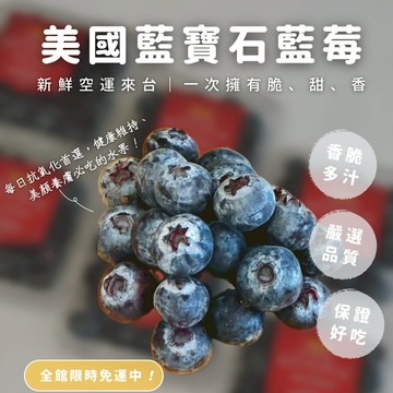 快速出貨｜生日禮｜伴手禮｜祕魯藍莓｜香甜脆口 × 高花青素 × 冷藏宅配｜每日抗氧化好選擇【微笑甜果】