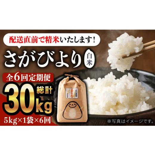 ふるさと納税 佐賀県 武雄市 令和5年産 新米 さがびより 5kg 配送指定可 配送前精米＜13年連続最高評価特A受賞＞ ／江口農園 [UBF007]