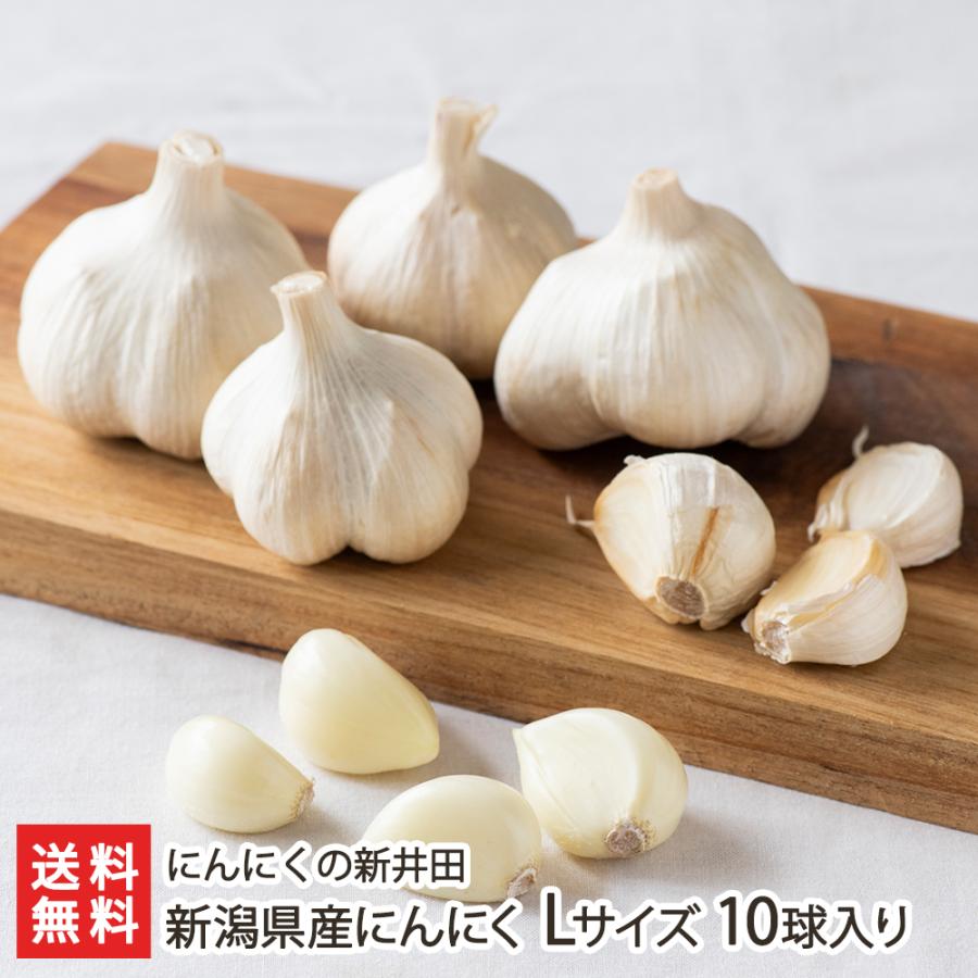 国産 嘉定種 令和4年度産 ニンニク 中球(M球程度) 10kg にんにく - 野菜