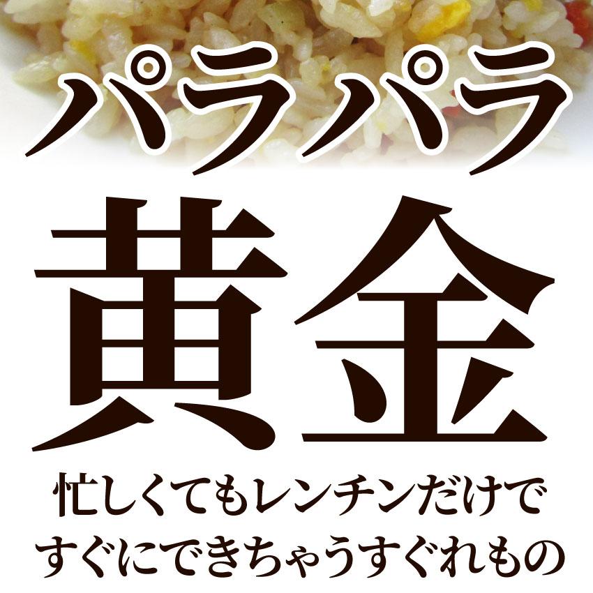 炒飯 チャーハン 焼き飯 たっぷり卵の黄金チャーハン 10食セット 2.5kg 中華 冷凍レンジ調理 業務用 まとめ買い 当日発送対象