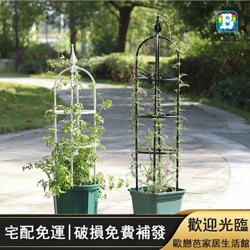 月季爬藤架植物攀爬架包塑鋼管花架鐵線蓮支撐桿飄香藤玫瑰花支架 園藝藤本綠蘿爬藤架植物U型包塑鋼管花支架盆栽花架