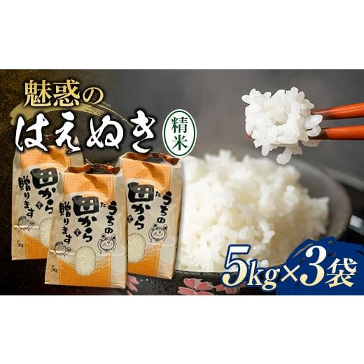 ふるさと納税 山形県 新庄市 先行受付 令和5年産『魅惑のはえぬき』（精米）15kg（5kg×3袋） 米 お米 おこめ 山形県 新庄市 F3S-1577