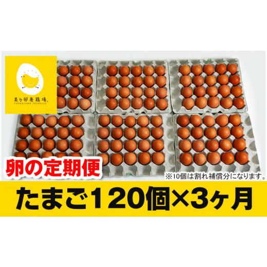 ふるさと納税 沖縄県 南風原町 3ヵ月連続お届け　美ら卵養鶏場の卵　各月120個