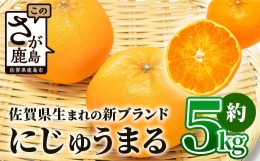 佐賀県生まれ 新ブランド 高級柑橘約5kg みかん 蜜柑 ミカン オレンジ 柑橘 フルーツ 果物 贈り物 贈答 プレゼント 高級 ブランド 限定 ギフト F-55