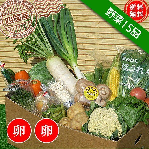 産直あきんど厳選野菜の詰め合わせ15品セット たまご20個セット 送料無料