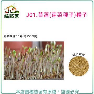 J01.苜蓿芽種子15克(約5500顆)(芽菜種子)芽菜類種子【綠藝家】