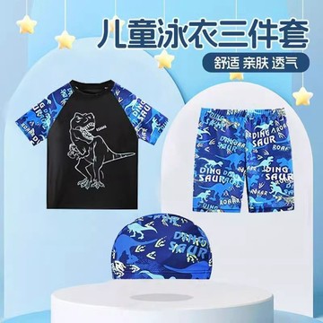 【台灣-出貨】男童泳衣 男童泳裝 兒童泳衣  兒童泳衣男童中大童分體訓練泳裝男孩游泳褲2025新款速幹游泳套裝