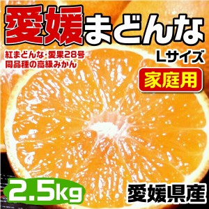 愛媛まどんな (紅まどんな同品種) Lサイズ 2.5kg JAの正規品(あいか  愛果28号) ご家庭用 バラ詰 高糖度・JA選果…