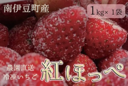 冷凍イチゴ１kg（2020年第31回静岡県いちご果実品評会入賞）