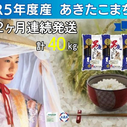 定期便 無洗米 令和5年産 あきたこまち 20kg 5kg×4袋 2ヶ月連続発送（合計 40kg） 秋田食糧卸販売