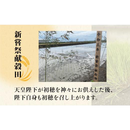 ふるさと納税 佐賀県 江北町 令和5年産 新米 ヒノヒカリ 玄米 10kg 5kg×2  [HAP014]