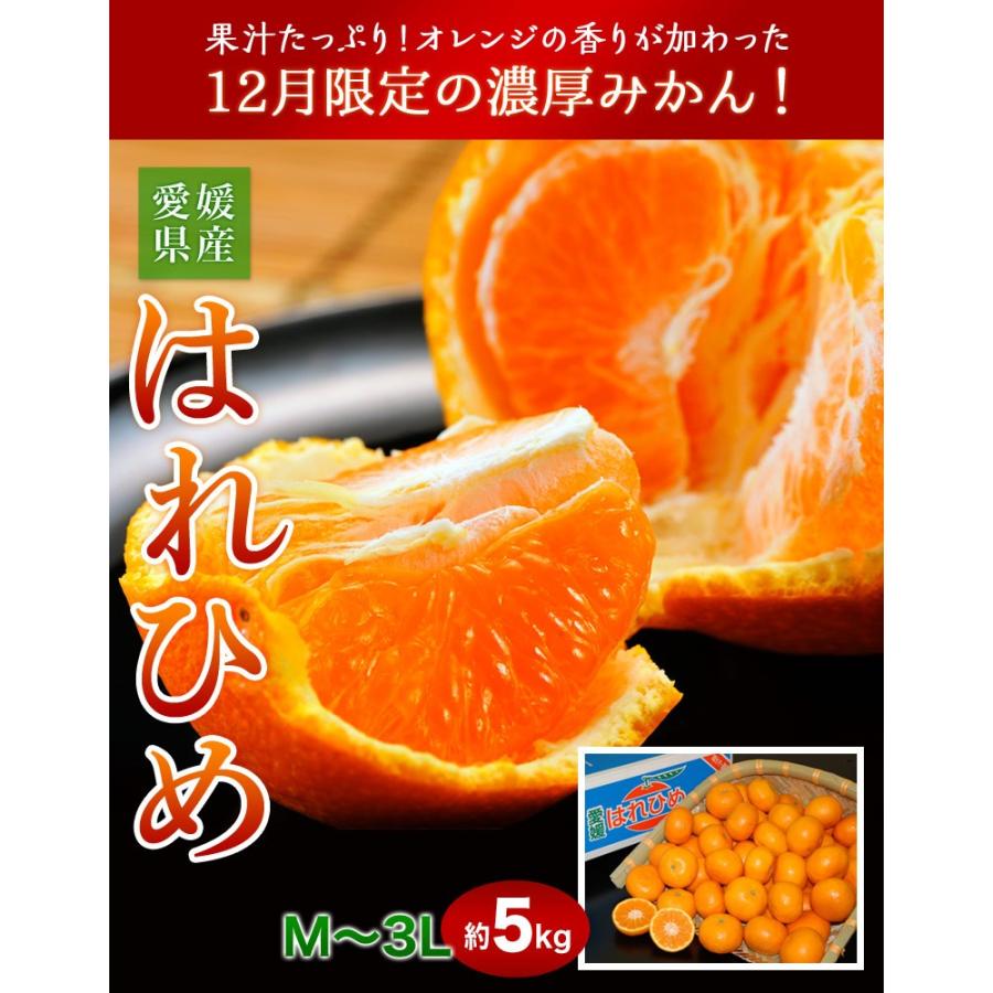 『はれひめ』愛媛県産柑橘 M〜3Lサイズ 約5kg 産地箱入 ※常温 送料無料