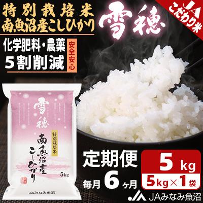 ふるさと納税 南魚沼市 特別栽培米南魚沼産こしひかり「雪穂」 精米 5kg 全6回