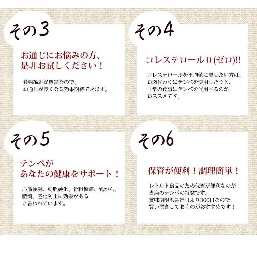 美しテンペ コレステロール0の栄養豊富な大豆発酵食品 テンペ1kgセット（100g×10袋） コラーゲン1000mg配合 食物繊維がレタスの8倍