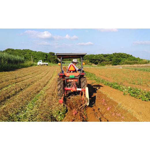 ふるさと納税 沖縄県 久米島町 久米島産焼き紅芋 5袋セット