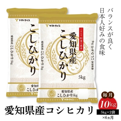 愛知県産コシヒカリ 10kg(5kg×2袋)　※定期便6回　H074-553