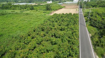 大內潛力農地｜近南科＋山上交流道優勢｜台南市大內區頭社