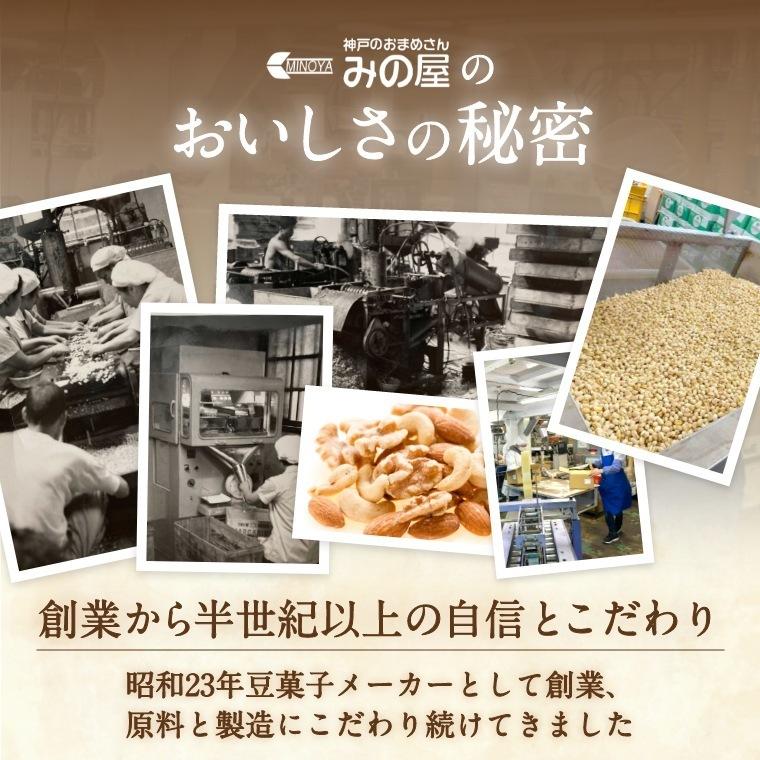 大豆 素煎り大豆 100g 製造直売 無添加 無塩 無植物油 ポイント消化 株式会社みの屋 素煎り大豆 グルメ