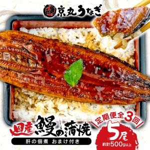 ふるさと納税  国産 鰻 うなぎ 5尾 肝 佃煮 おまけ付き ギフト セット 蒲焼 うな丼 うな重 ひつまぶし 土用 丑の日 （ .. 静岡県沼津市