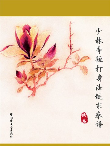 【電子書】少林寺短打身法统宗拳谱
