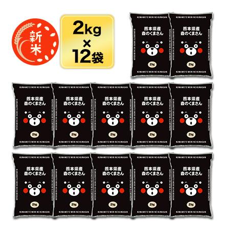 新米 令和5年(2023年)産  熊本県産 森のくまさん 白米 24kg（2kg×12袋）