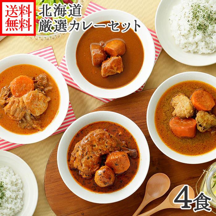 北海道 カレー スープカレー セット 4食(北国チキンレッグ 南家 天竺 ココナッツ)業務用 カレー レトルト 食品