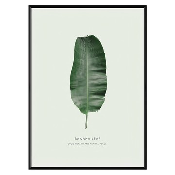 菠蘿選畫所 生氣盎然芭蕉葉 掛畫  42 x 59.4cm  黑色