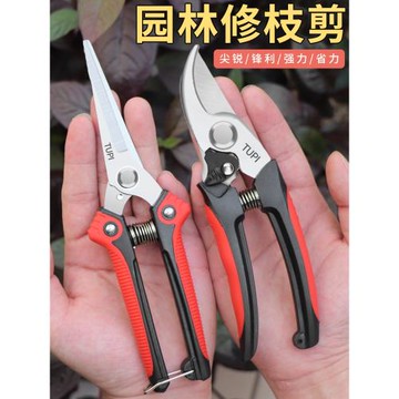 日本新款藝園剪刀省力修枝花藝專用家用果樹剪園藝樹枝綠化修剪