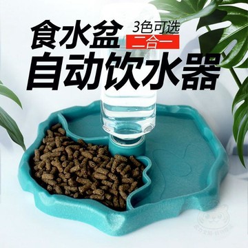 🎉限量優惠🎉陸龜水盆飲水食盆爬寵 餵食器 二合一自動蓄水盆爬蟲飼養箱角蛙食盤