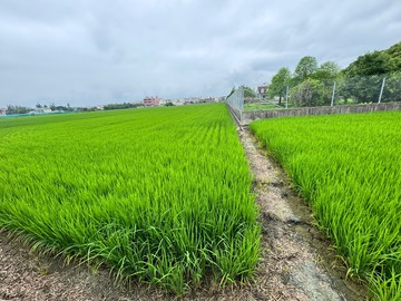 廣興路都計內農地｜雲林縣西螺鎮西中段