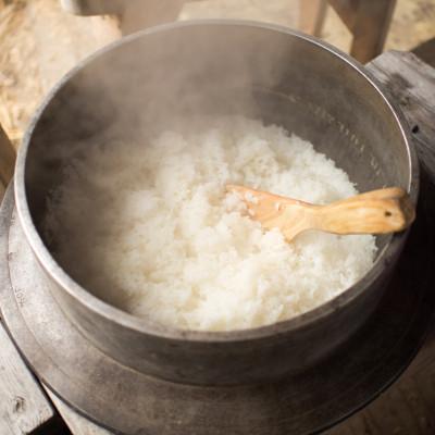 ふるさと納税 土庄町 肥土山そだち米(香川県産コシヒカリ)10kg