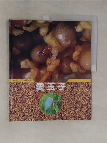 【書寶二手書T1／少年童書_ZCA】愛玉子_沈 競辰