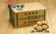 新じゃが 令和5年 倶知安産 きたあかり LM 10kg D B