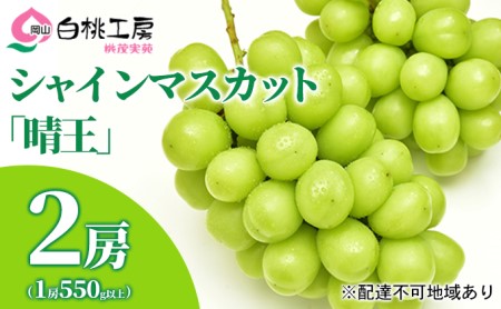 ぶどう 2024年 先行予約 シャイン マスカット 晴王  2房 （1房550g以上） マスカット ブドウ 葡萄  岡山県産 国産 フルーツ 果物 ギフト桃茂実苑