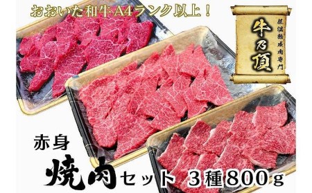 おおいた和牛A4ランク以上！赤身焼肉セット3種