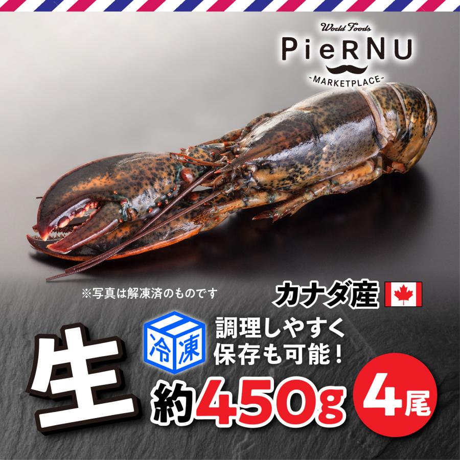 生オマール海老（カナダ産）　4尾(約450g×4）