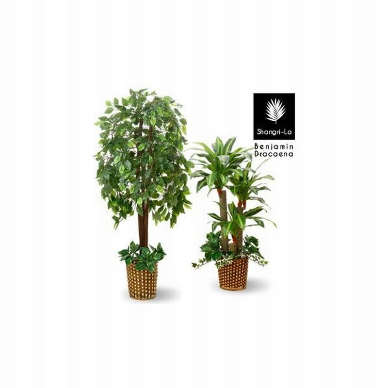 光触媒 人工観葉植物 フェイクグリーン インテリアグリーン 2点セット ベンジャミン 幸福の木 室内 おしゃれ 通販 Lineポイント最大0 5 Get Lineショッピング