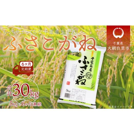 ふるさと納税 千葉県 大網白里市 ＜6ヶ月定期便＞千葉県産「ふさこがね」5kg×6ヶ月連続 計30kg ふるさと納税 米 定期便 5kg ふさこがね 千葉県 大網白里市 送…