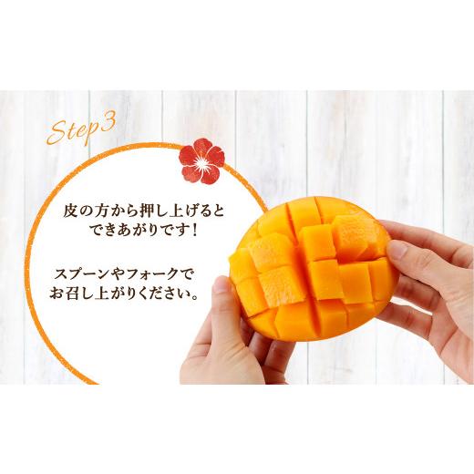 ふるさと納税 鹿児島県 天城町 徳之島 天城町産 完全無加温 完熟 マンゴー Ａ品 2kg 贈答