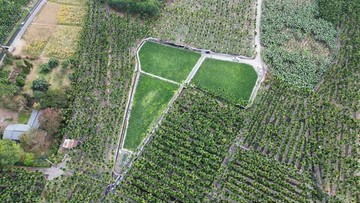 【高樹新豐】近大津瀑布3分7平坦都外農地｜屏東縣高樹鄉大山寮段