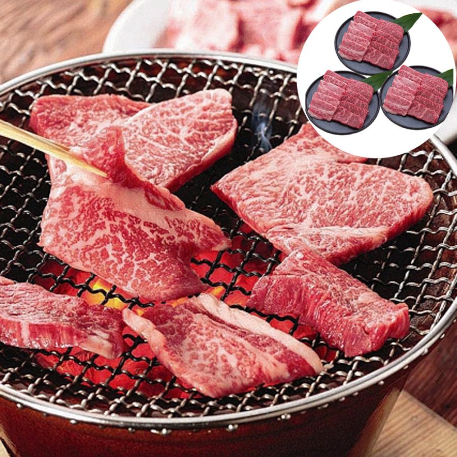 長野 信州プレミアム牛肉焼肉 モモ バラ 600g 牛肉 お肉 食品 お取り寄せグルメ ギフト 贈り物