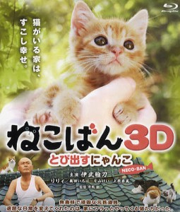 BD ねこばん 3D とび出すにゃんこ [その他]