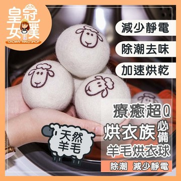 【蝦皮隔日配】烘衣球 羊毛球 羊毛烘衣球 烘衣神器 毛氈球 烘乾球 乾衣球 乾燥球 防靜電 綿羊烘衣球 FN340
