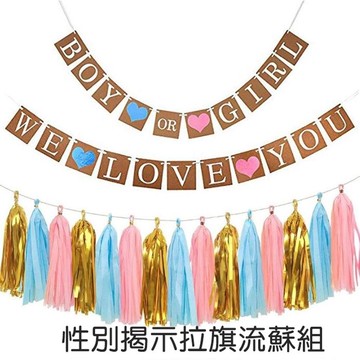 [Hare.D]性別揭示拉旗流蘇組 派對佈置 拉旗 流蘇 DIY 寶寶派對 猜性別 男寶女寶 裝飾牆 背景牆