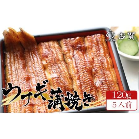 ふるさと納税 うなぎ処古賀の国産うなぎ本格炭火蒲焼　120g×5人前セット　 埼玉県さいたま市