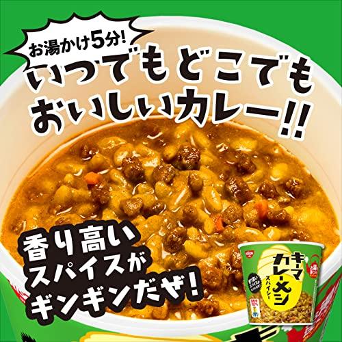 日清食品 日清キーマカレーメシ スパイシー インスタント 105g×6個